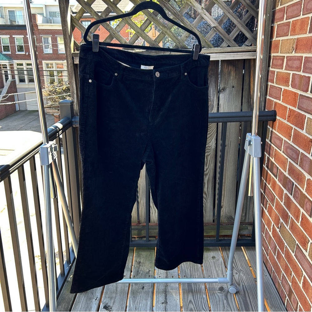 Style & Co Black Corduroy Plus Short Pants 20W